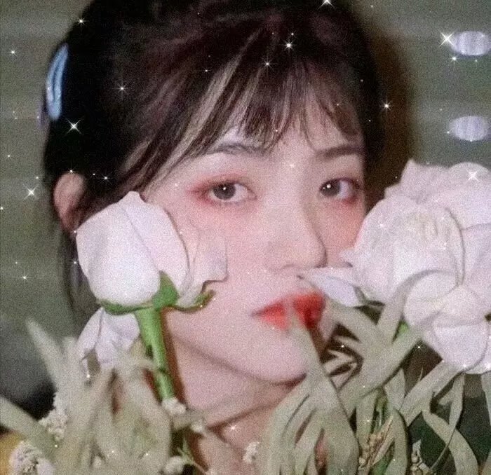 蝴蝶粤语