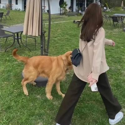 向政府说不